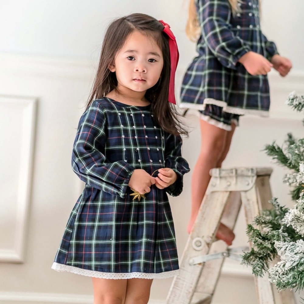 well dressed wolf plaid tunic set